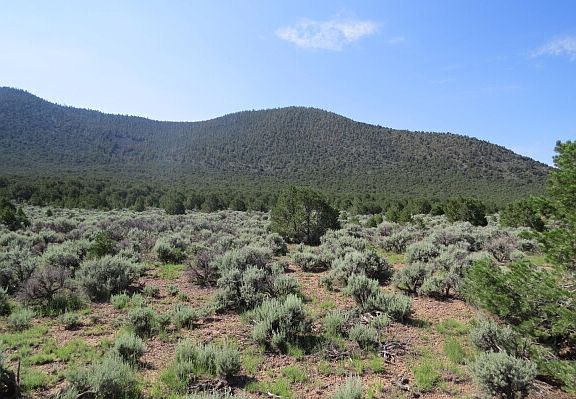 2nd image of 111 Taos Valley