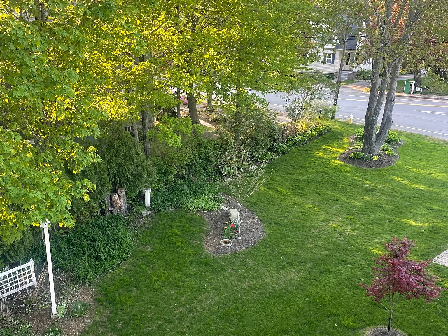1 bed, 825 sqft, $3,000 — Photo 3