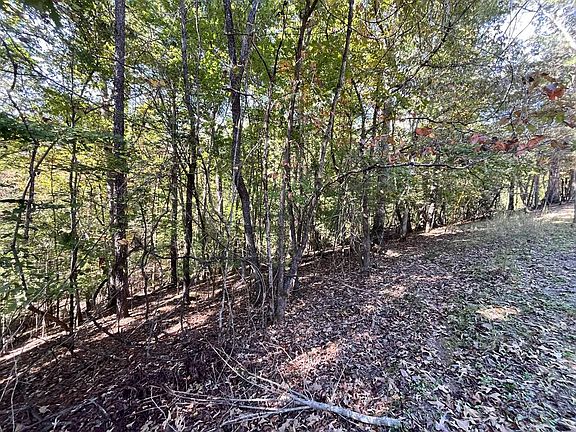 5th image of LOT 2532 Frigate Dr