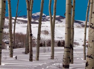 123 Touchdown Dr LOT 423, Telluride, CO 81435