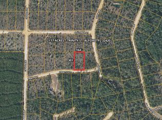 Trinity St, Alford, FL 32420