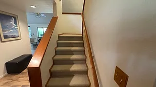 1739 Holiday Ln — Photo 11