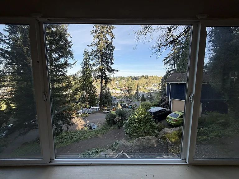 View from kitchen sink