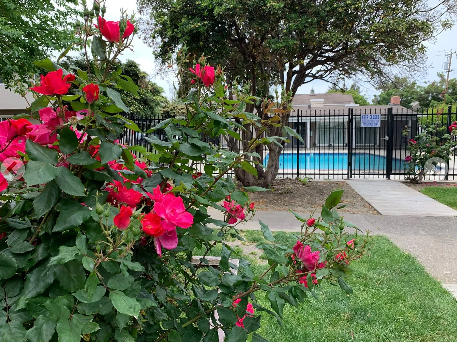 Del Prado Apts — Photo 4