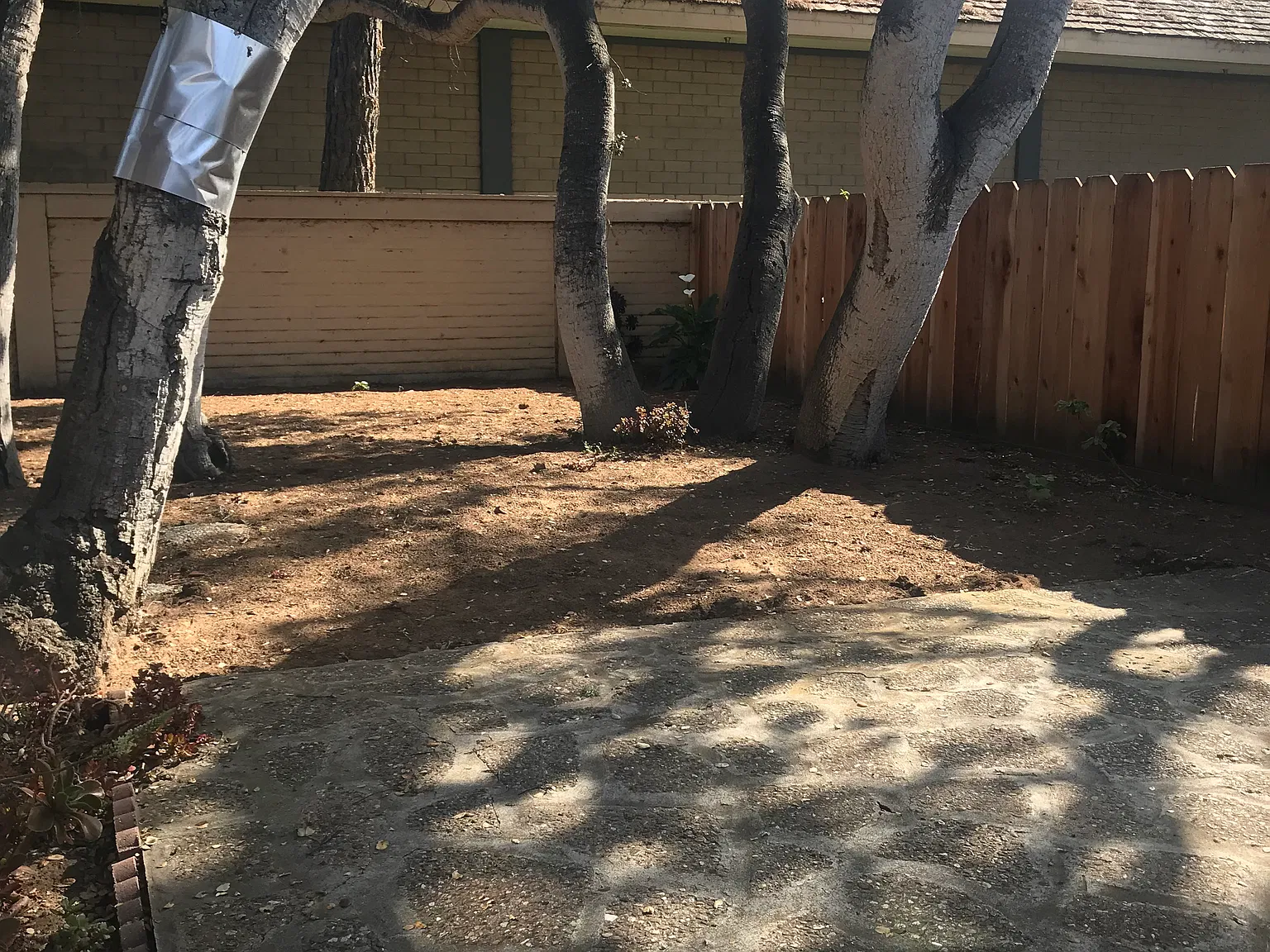 2 bed, 1150 sqft, $2,800 — Photo 3