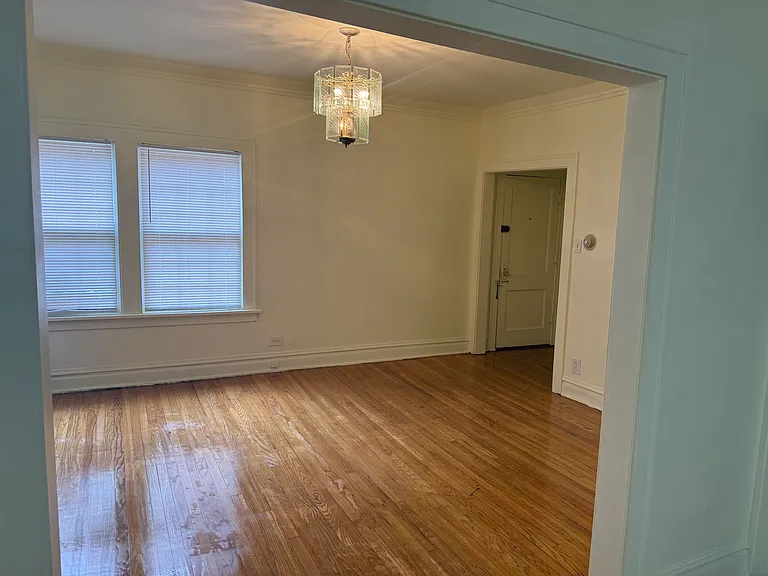 7341 S Michigan Ave #2R — Photo 7
