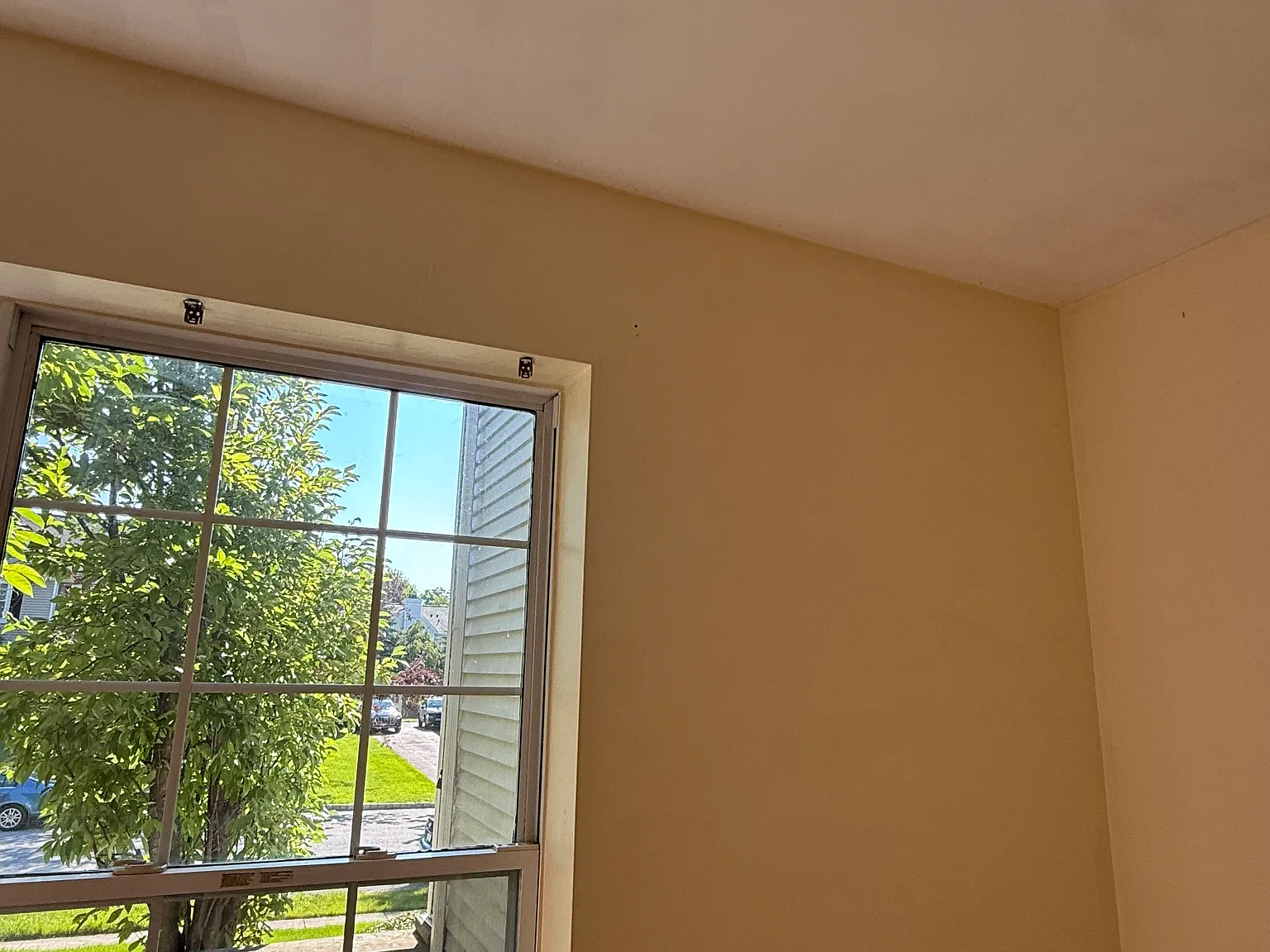 1 bed, 225 sqft, $795 — Photo 4