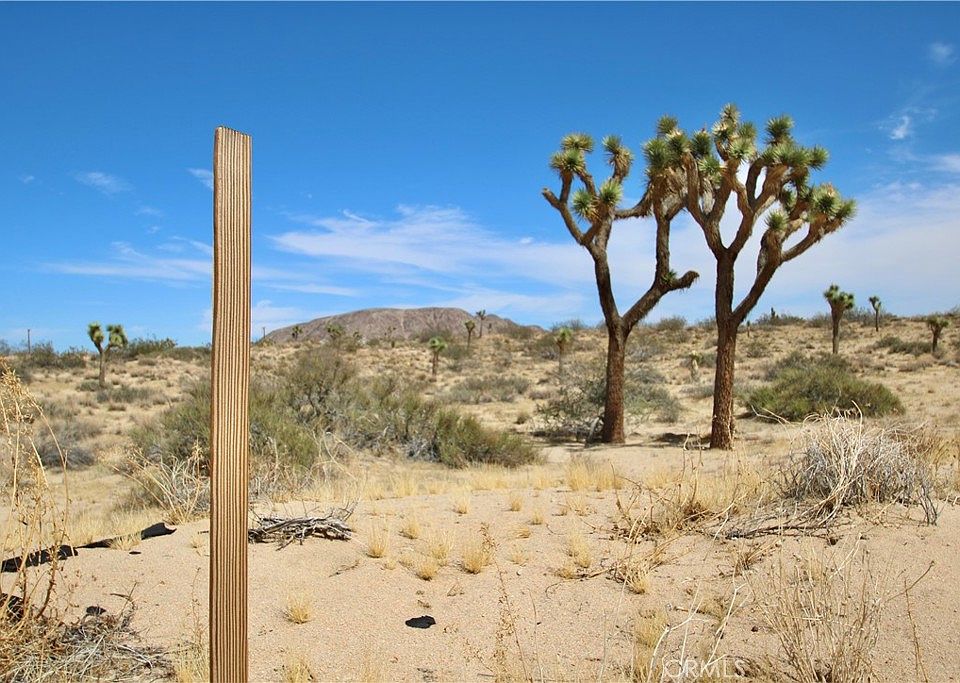 1st image of 0 Pine St