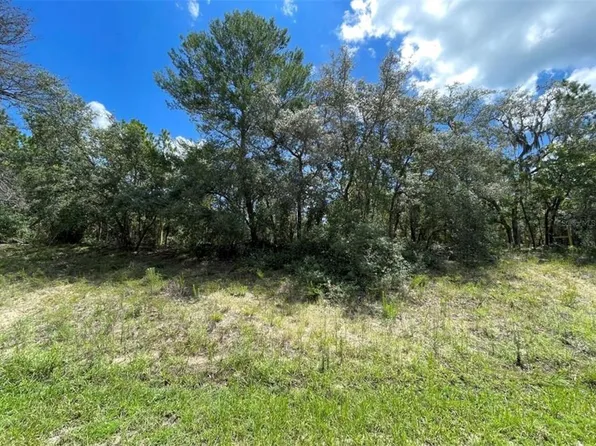 369 S HIGHVIEW AVENUE LOT 1, LECANTO, FL 34461
