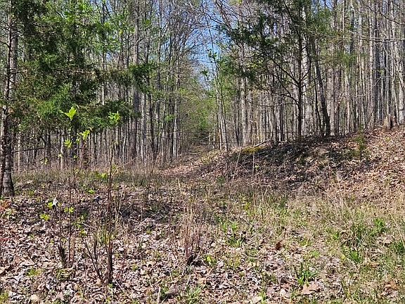 2nd image of Benton Tidwell Rd
