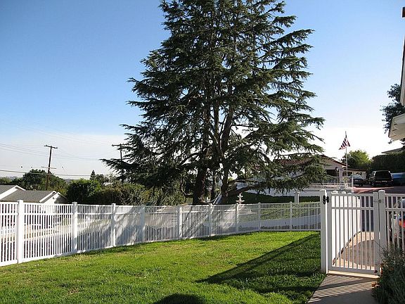 Front Yard Fence and Tree View