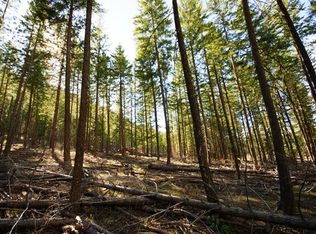 23 Liberty Ln, Winthrop, WA 98862