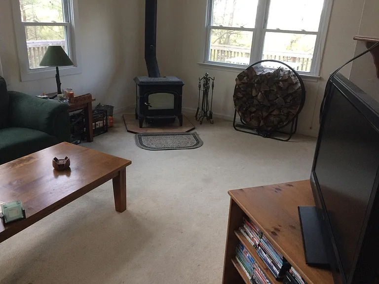 Livingroom woodstove