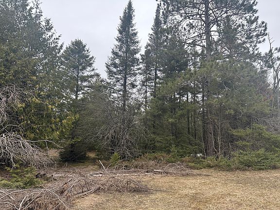 3rd image of 4200 Bloom Rd