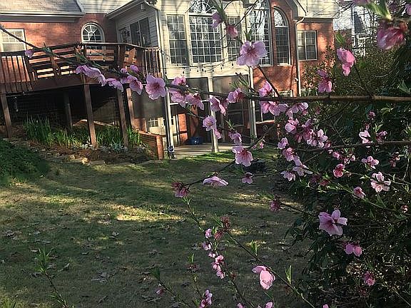 5th image of 1808 Philadelphia Ct