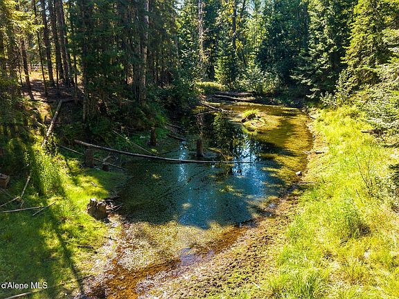 5th image of 3829 Gold Creek Rd