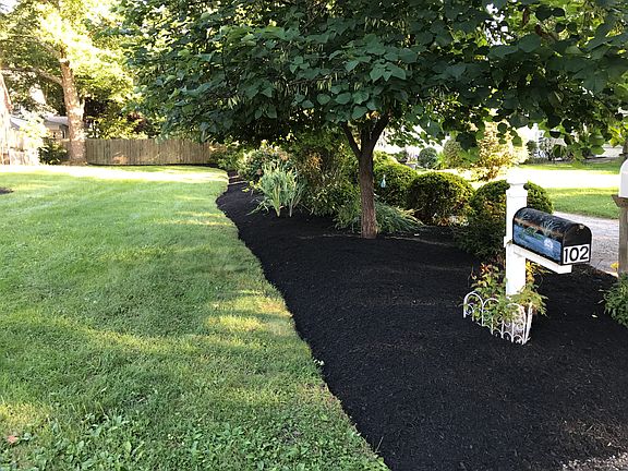 Side boundary garden