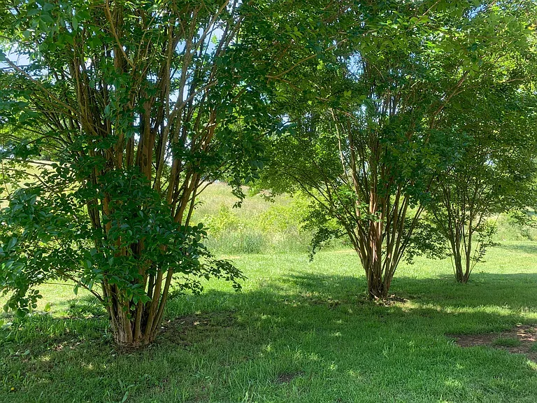 41 Vocational Dr SW — Photo 24