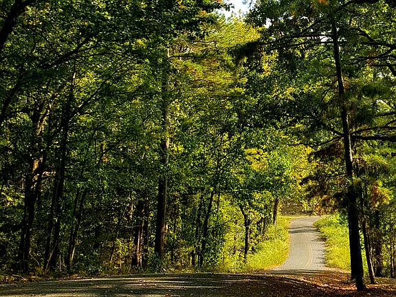 Rd leaving house, toward hwy