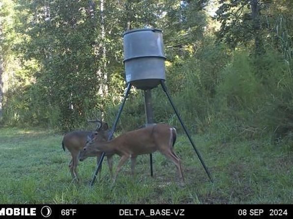 5146 New Hope Rd, Georgetown, MS 39078