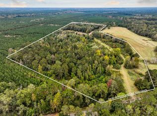 45 W Mill St, Georgiana, AL 36033