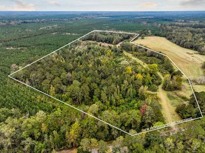 45 W Mill St, Georgiana, AL, 36033