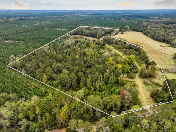 45 W Mill St, Georgiana, AL 36033