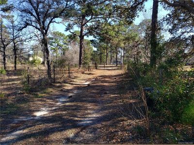 14328 Lelani Dr, Weeki Wachee, FL, 34614