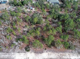 9188 N Tiffin Ter, Citrus Springs, FL 34434
