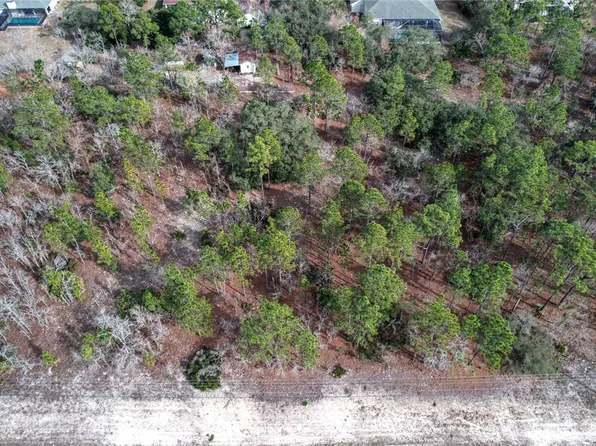 9188 N Tiffin Ter, Citrus Springs, FL 34434