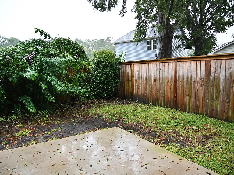 Backyard