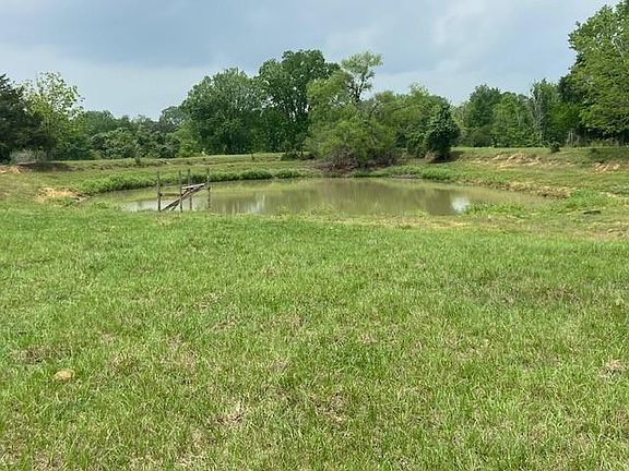 3rd image of 17139 County Road 319