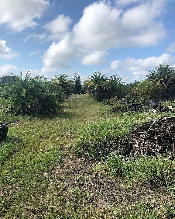 Lot 6 - 1.51 acres