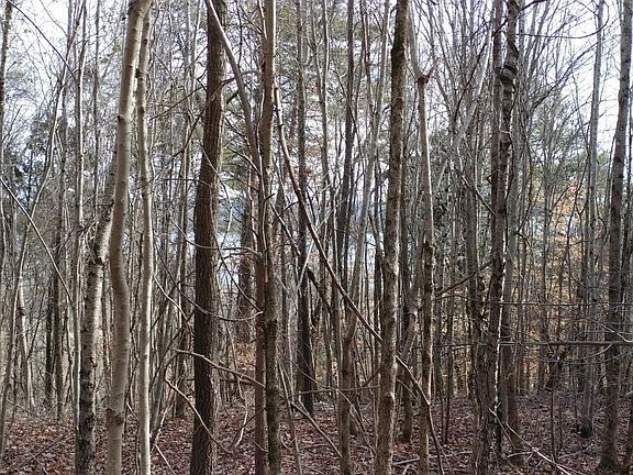 2nd image of 28 Acres N Hillcrest Dr