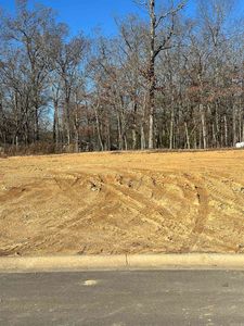 LOT 245 Bighorn Dr, Benton, AR, 72019