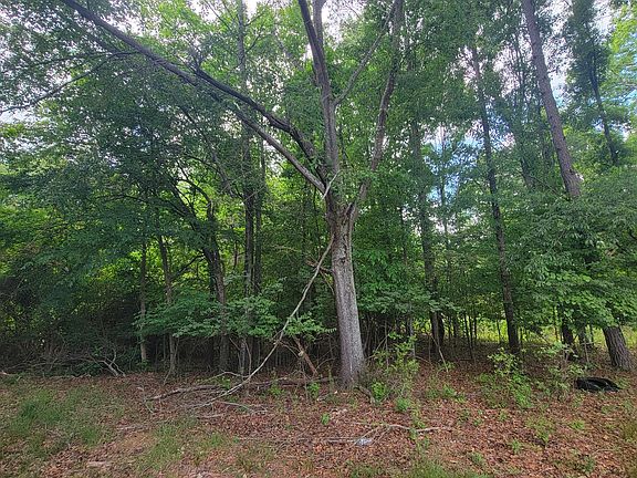 5th image of 0 Lester Rd