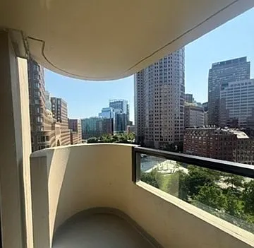 65 E India Row #10G — Photo 13