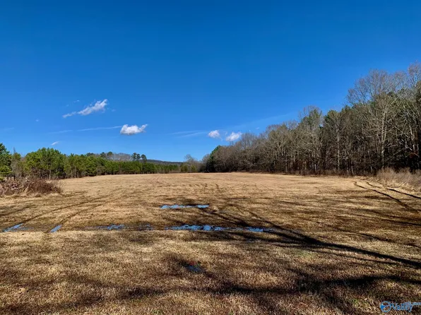 McClain Ave, Gadsden, AL 35901