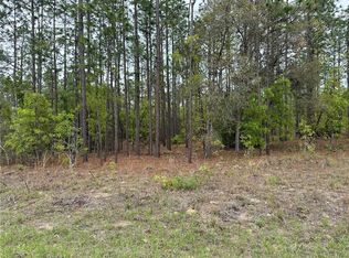SW 125th Court Rd LOT 8, Dunnellon, FL 34432