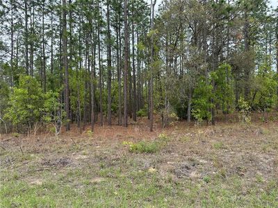 SW 125th Court Rd Lot 8, Dunnellon, FL, 34432