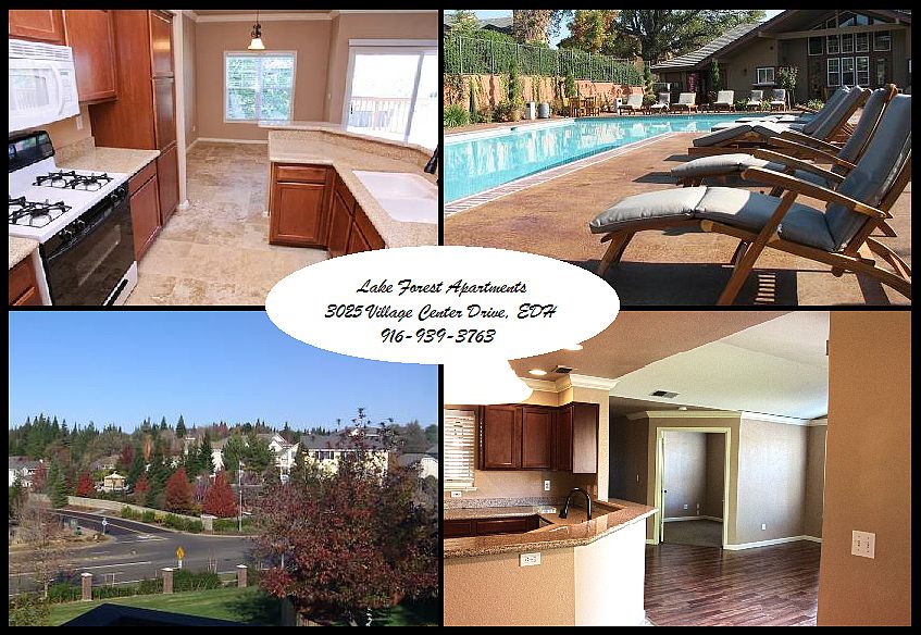 1st image of 2407 Birchtree Cir