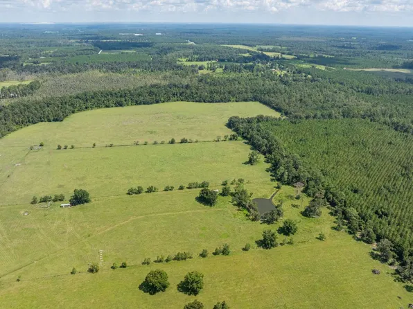 Hogan Rd, Wellborn, FL 32094