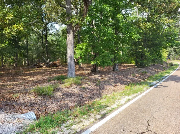 1 Birdsong Rd, Camden, TN 38320