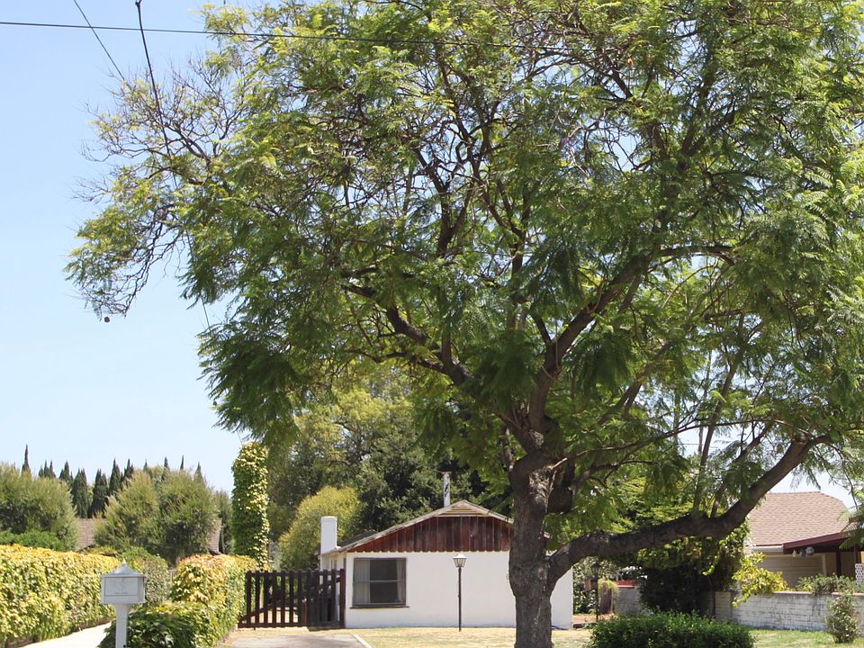 1st image of 6408 Oak Ave