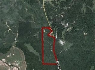 Burgamy Swamp Rd, Lapine, AL 36046