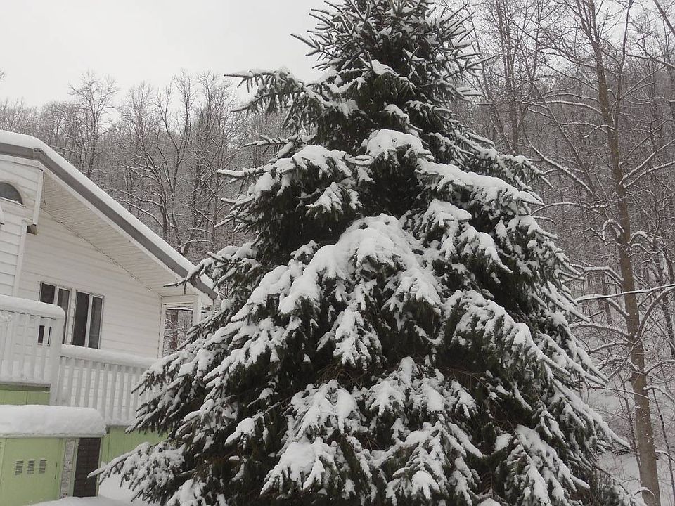 79th image of this home