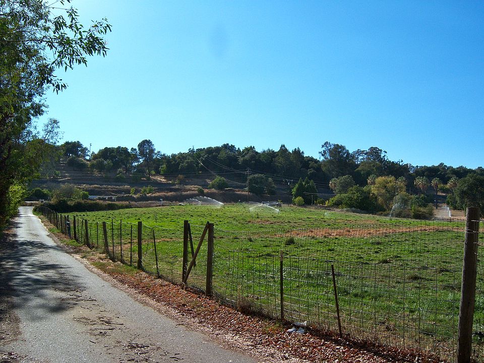 Driveway from Delmar