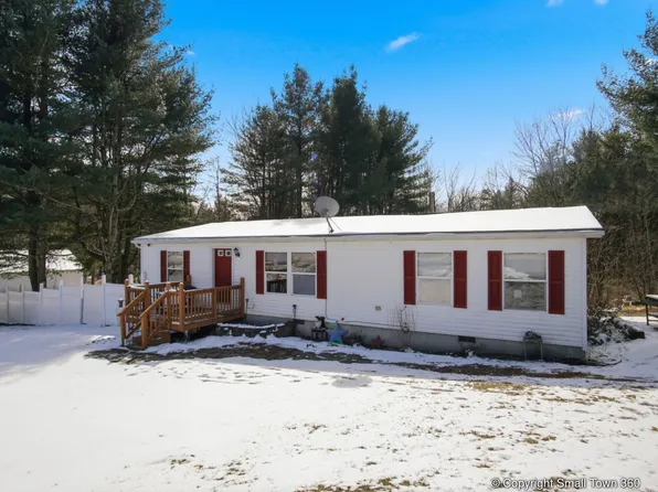 665 Mount Hunger Rd, Lisle, NY 13797