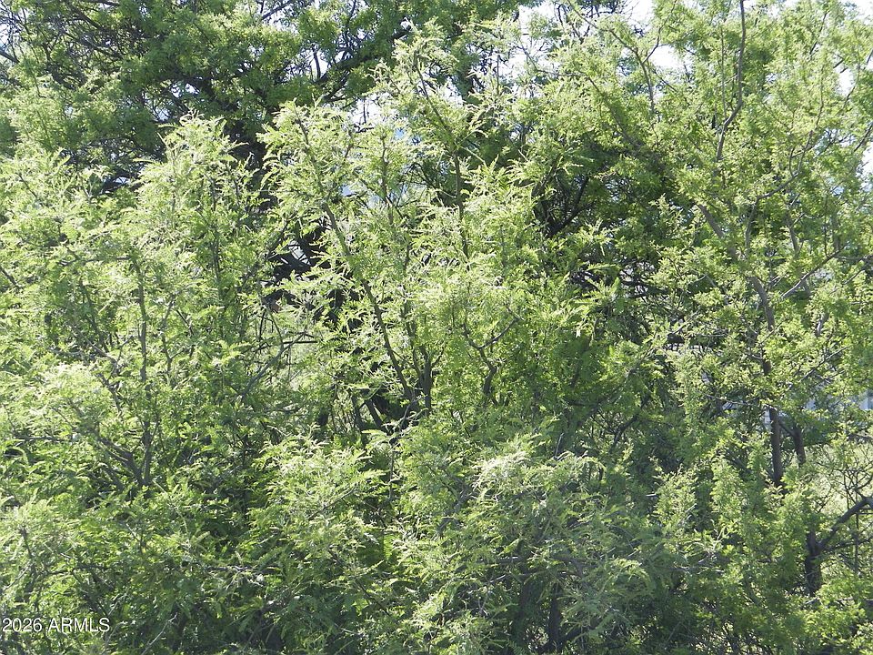 1st image of 571 Skyline Boulevard #242