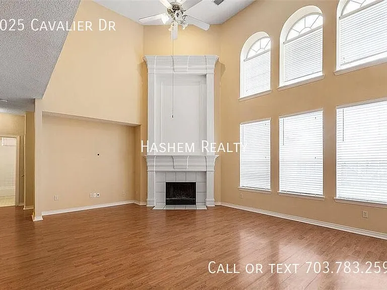 8025 Cavalier Dr — Photo 5